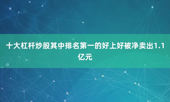 十大杠杆炒股其中排名第一的好上好被净卖出1.1亿元