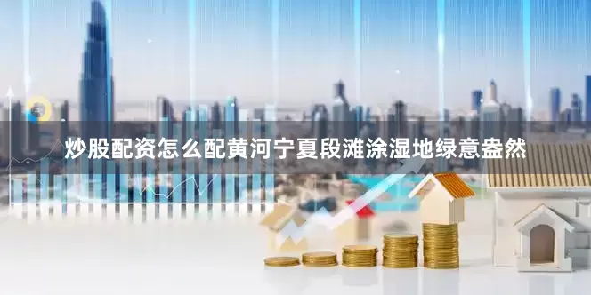 炒股配资怎么配黄河宁夏段滩涂湿地绿意盎然