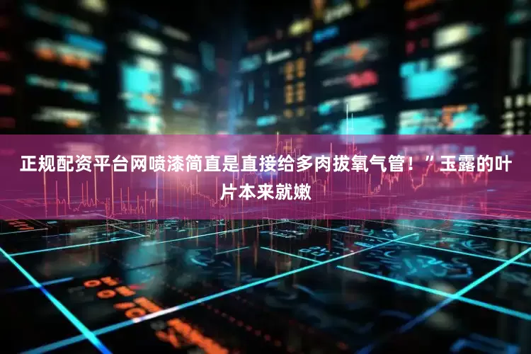 正规配资平台网喷漆简直是直接给多肉拔氧气管！”玉露的叶片本来就嫩
